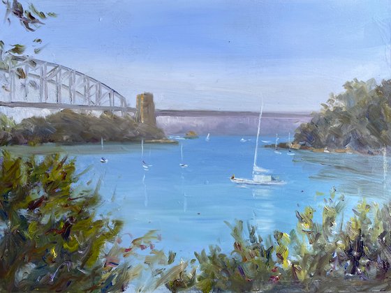 Sydney Harbour- Berrys bay