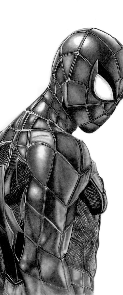 Spider-Man by Paul Stowe