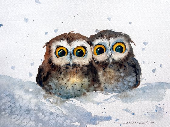 Owl duet in the snow