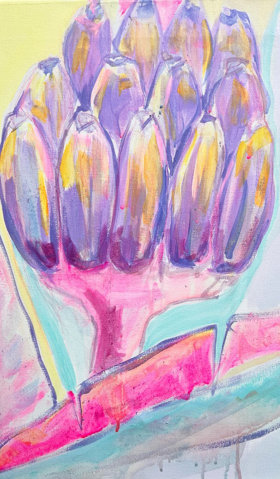 Pink and Blue Banana Study