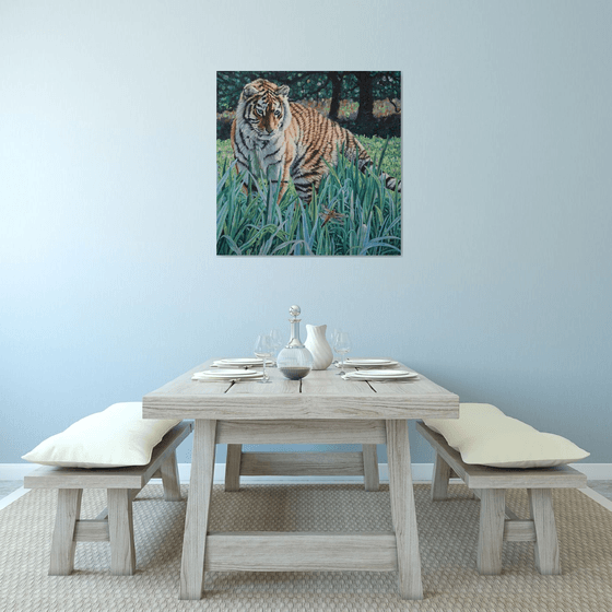 Amur Tiger - First Encounter