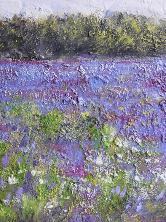 "Path through  field of lavender"