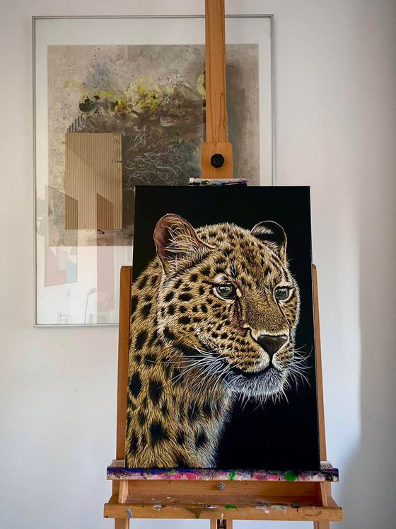 Leopard