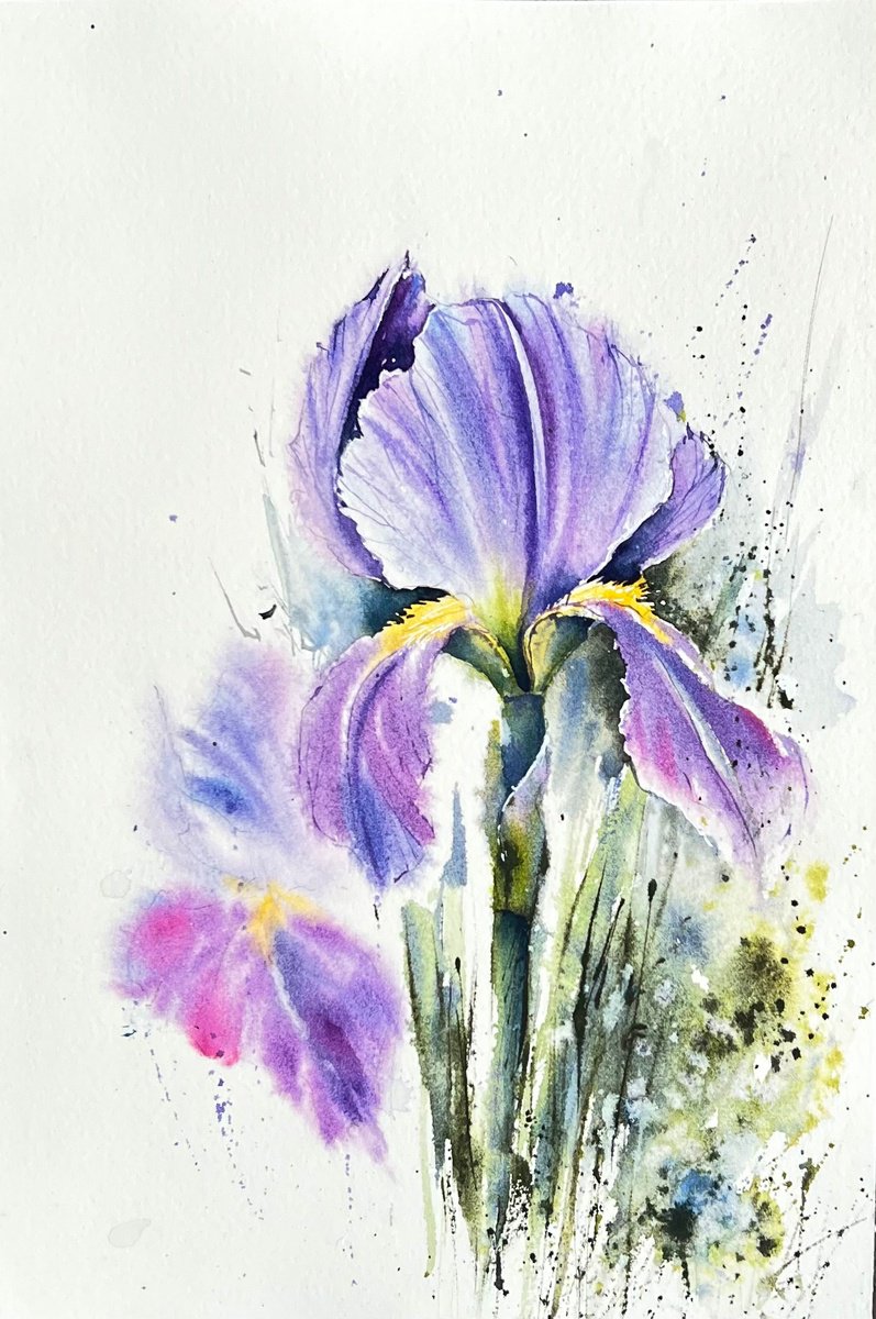 Iris Flowers by Yana Ivannikova