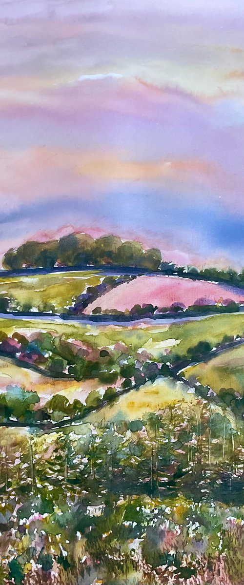 Brendon hills valley, Exmoor, Somerset by Samantha Adams