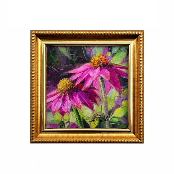 Echinacea flower