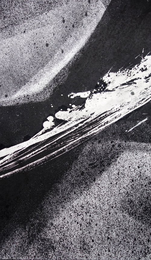 Accidental Degeneracies 16 by Elizabeth Anne Fox