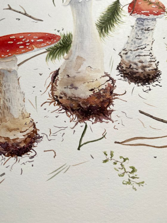 Mushrooms