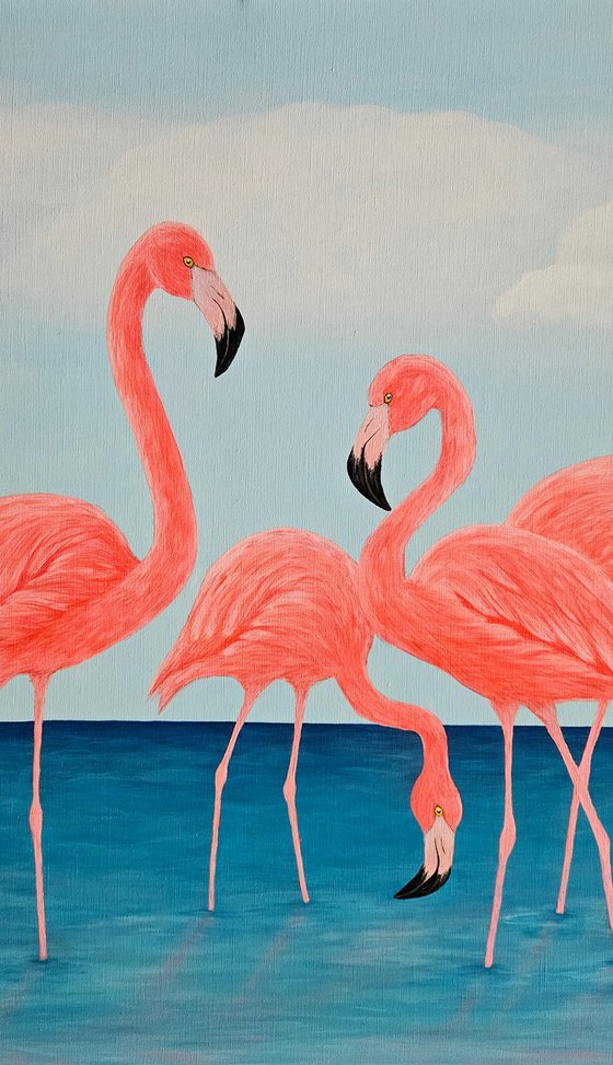 Flamingo Dreams