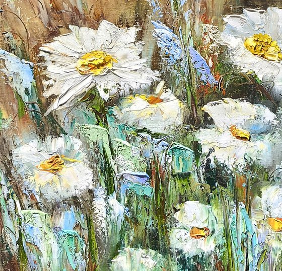 Daisies Meadows