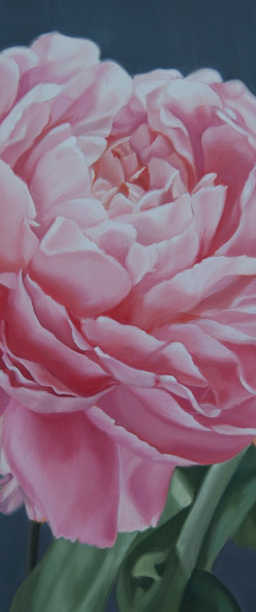Peony II by Simona Tsvetkova