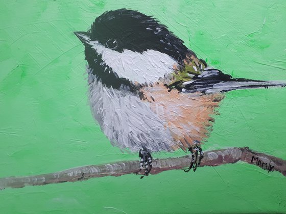 "Chickadee"