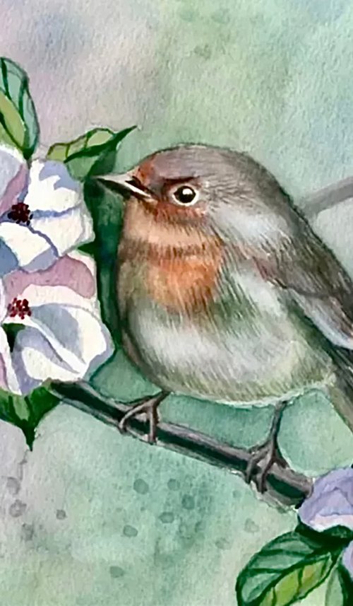 Spring Robin by Morgana Rey