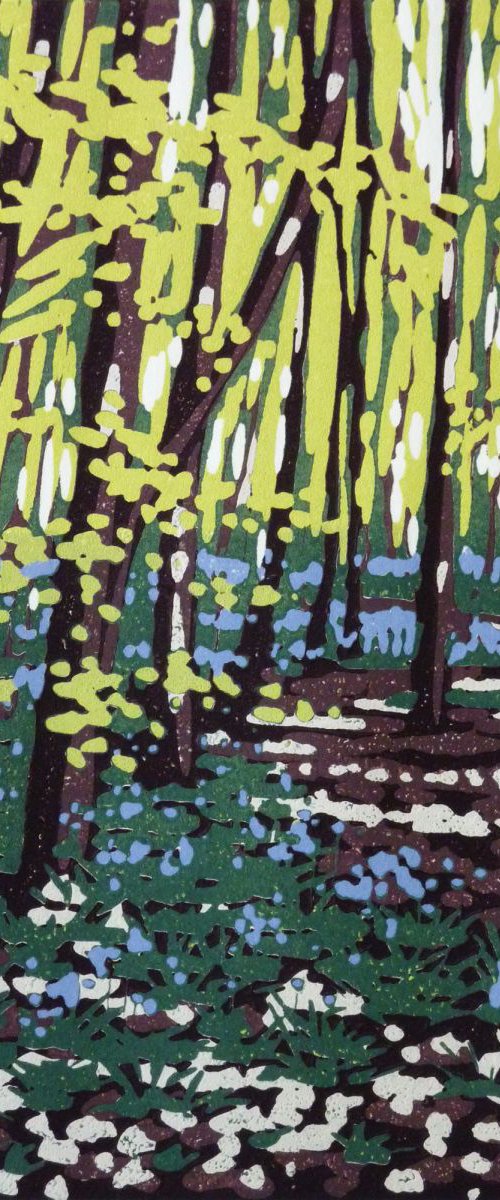 Bluebells by Alexandra Buckle