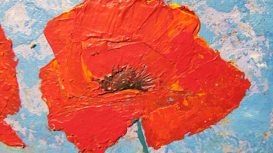 Red poppies