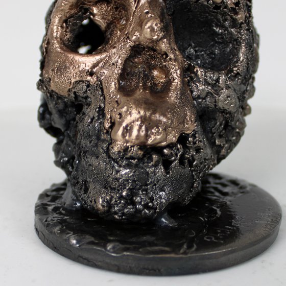 Skull 36-23