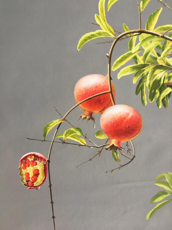 Still life:Pomegranates on the trees t179