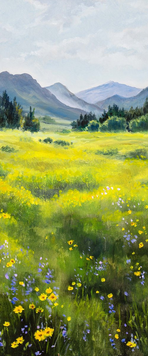 Mountain yellow flower meadow by Lucia Verdejo