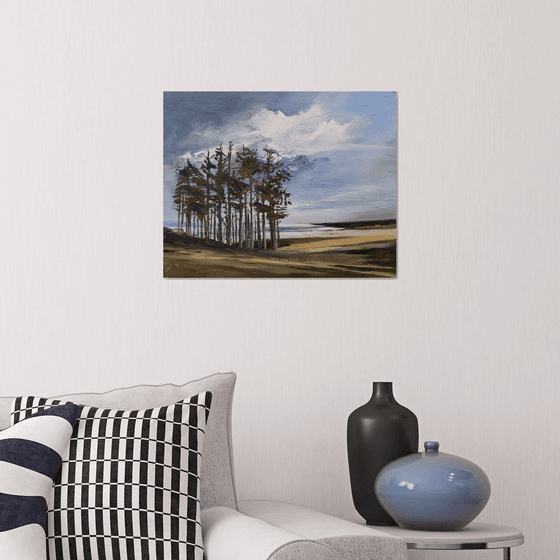 Pines at Newborough beach