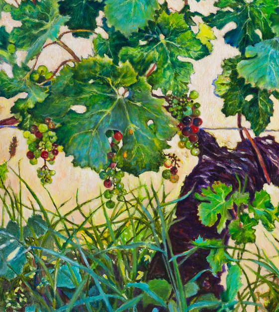 The Vine