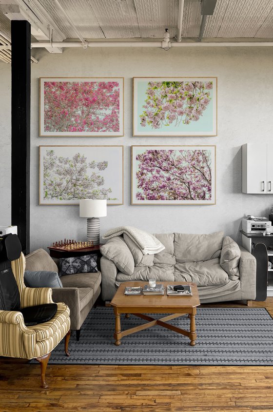 Blossom IV