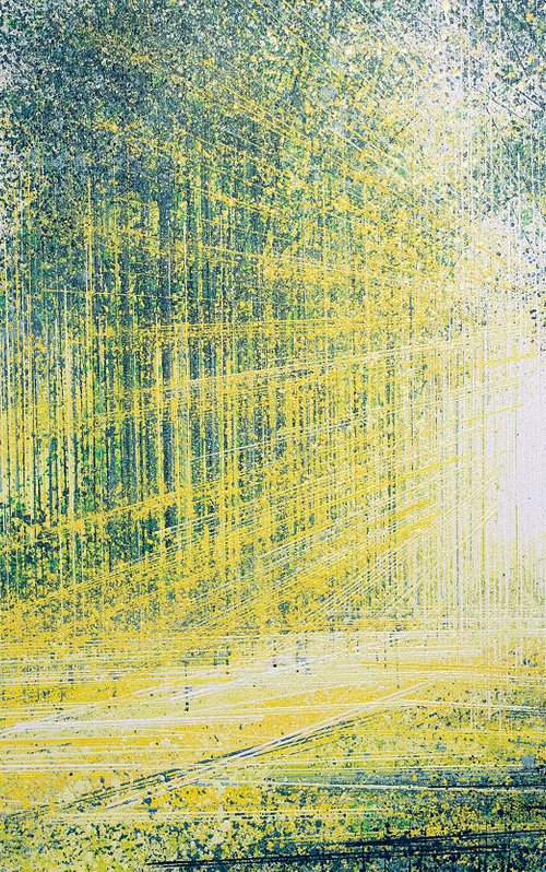 Evening Light Beams Through Trees by Marc Todd