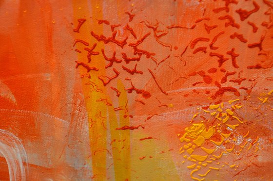 The Sky Doesn’t Apologize