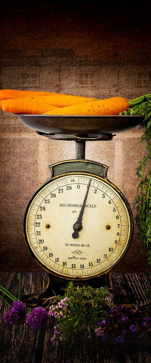 'Scaled Down Carrots' - Still Life photography by Michael McHugh