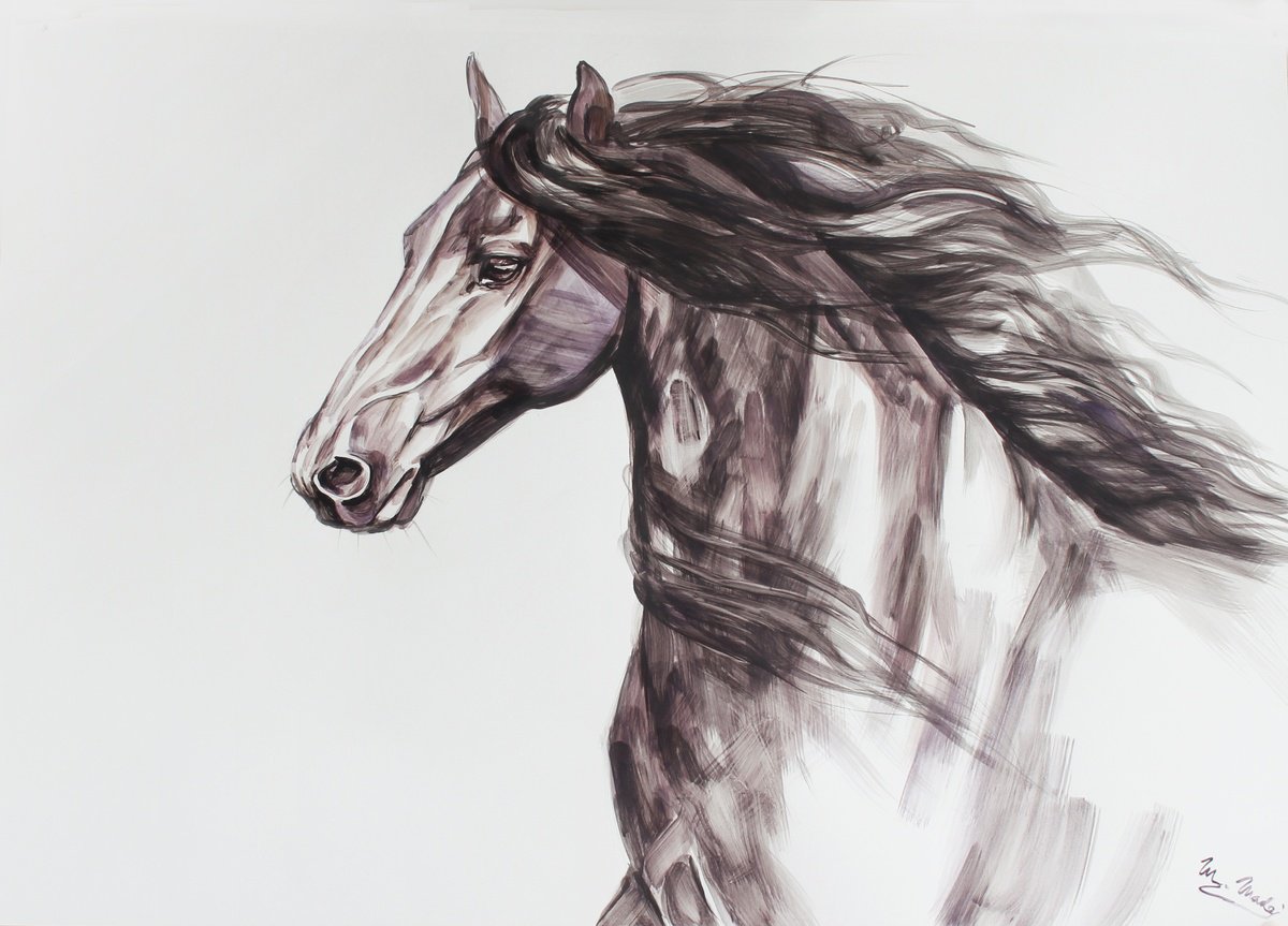 Portrait of a friesian horse by Marie Madej