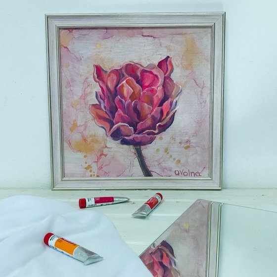 Framed Pink Tulip 50