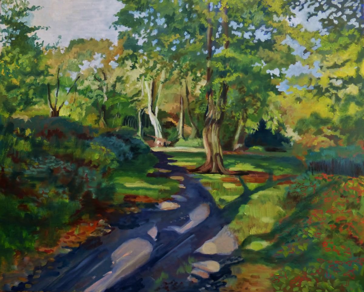 Sunny clearing - Epping Forest by Alison Chaplin
