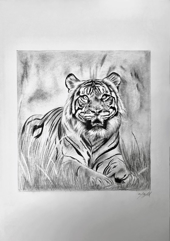 The king of the jungle