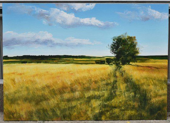 "Path through the field of wheat"   SPECIAL PRICE!!!