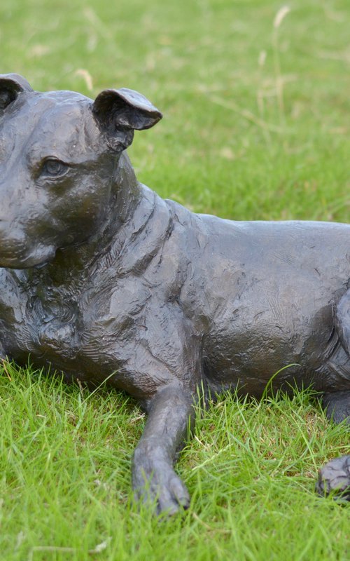 "Skye" Lying American Staffordshire Bull Terrier in Foundry Bronze metal by Tanya Russell