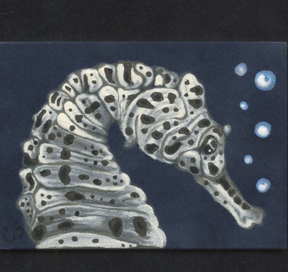 ACEO ATC Original Suede Painting Seahorse Marine Wildlife Art-Carla Smale