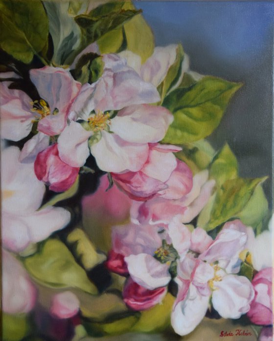 Spring 2021 (Apple tree blossom)