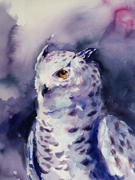 snowy owl