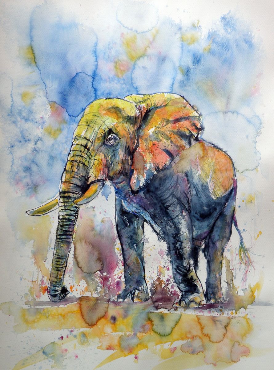 Big elephant by Kovcs Anna Brigitta