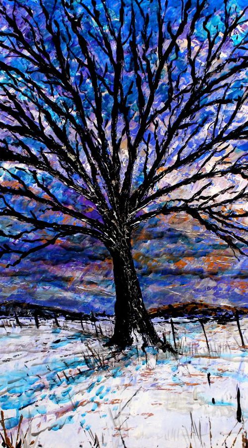 Violet Skies ( Large) by Paul J Best
