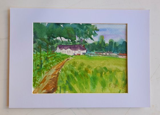 The white house at the Hellingly, England