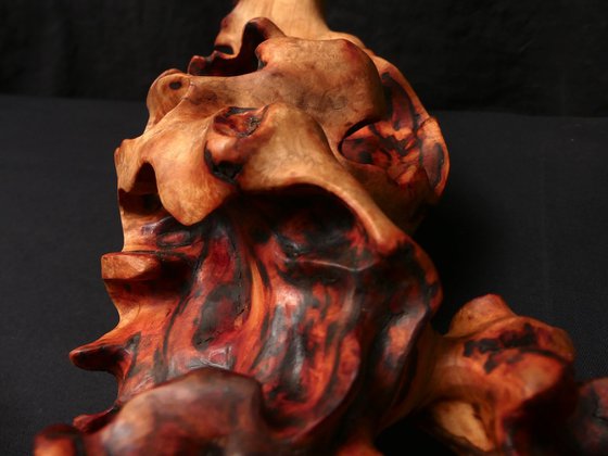 Emerging Phoenix - Abstract Wood Sculpture