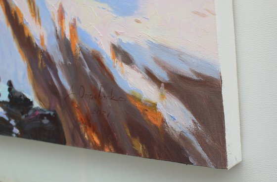 In the rays of the winter sun