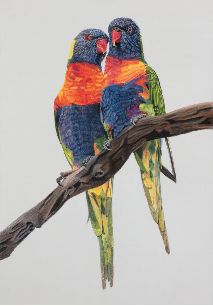 Photorealistic Animal Pastel Drawing By Gary Thomas, 20 X 28, Mr And Mrs Lori, Original Artwork