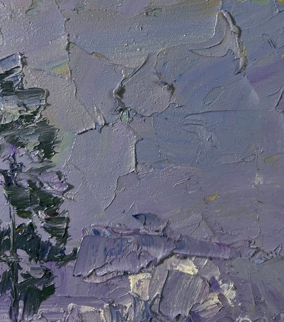 The Forest was Covered with Snow