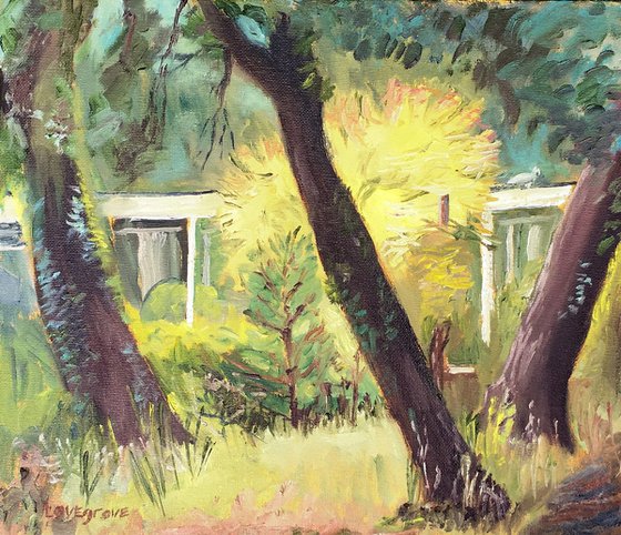 Japanese Acer Tree in a wooded garden! - Original oil painting, Unframed!