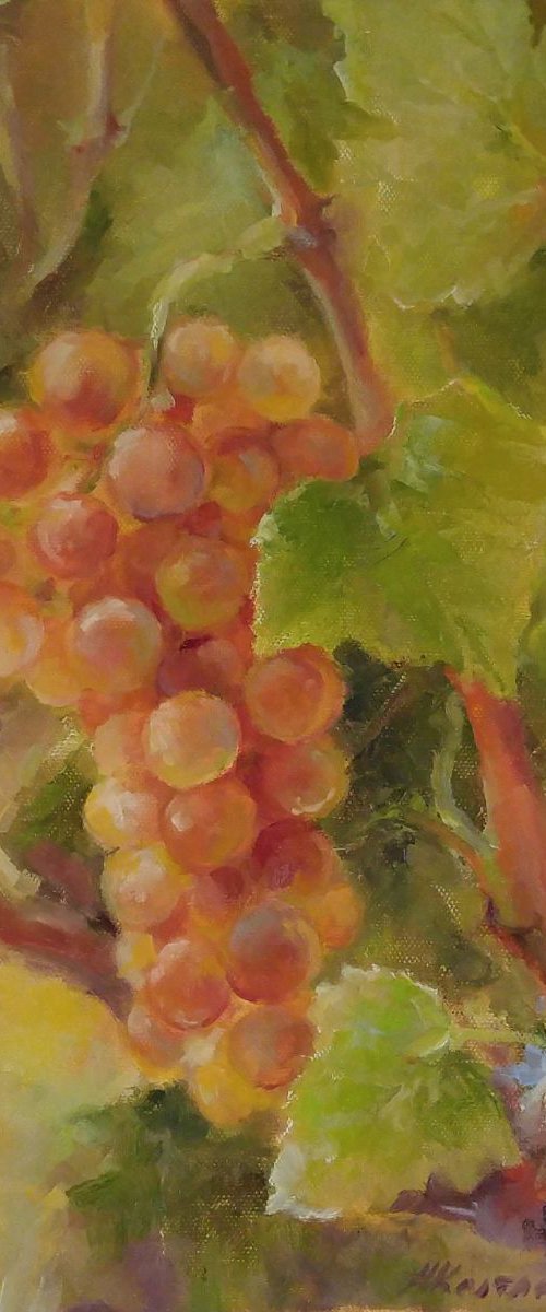 Grapes 3 11x14'' by Alexander Koltakov