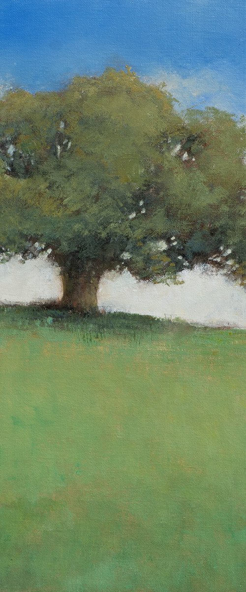Spring Oak Tree 220422, oak tree impressionist landscape oil painting by Don Bishop