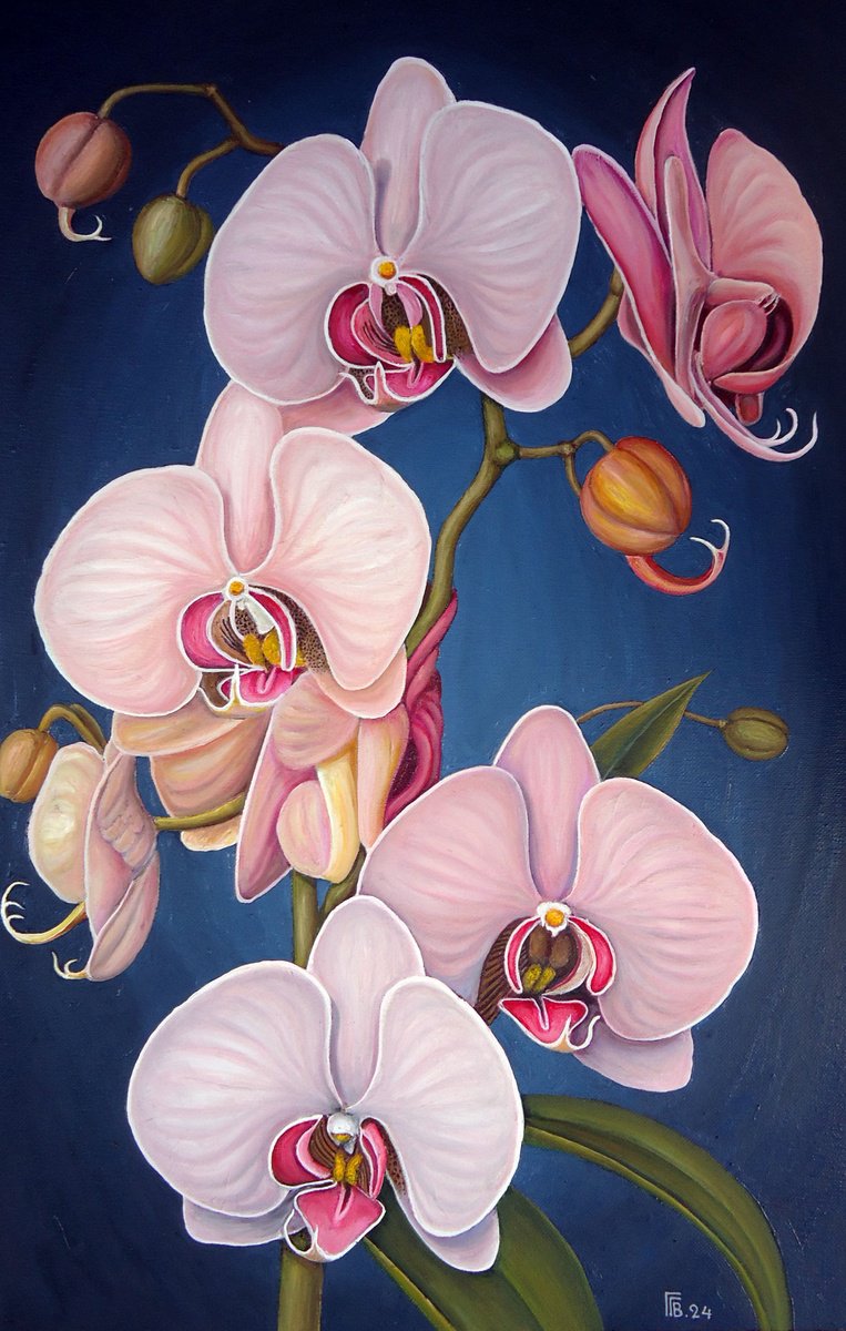 Photorealistic Botanical Oil Painting By Grigor Velev, 16 X 24, Orchid Elegance, Original Artwork