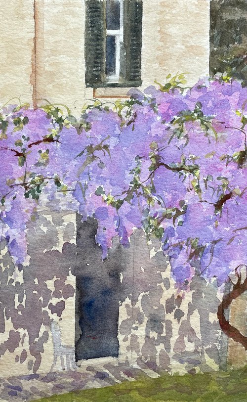 House with wisteria by Shelly Du