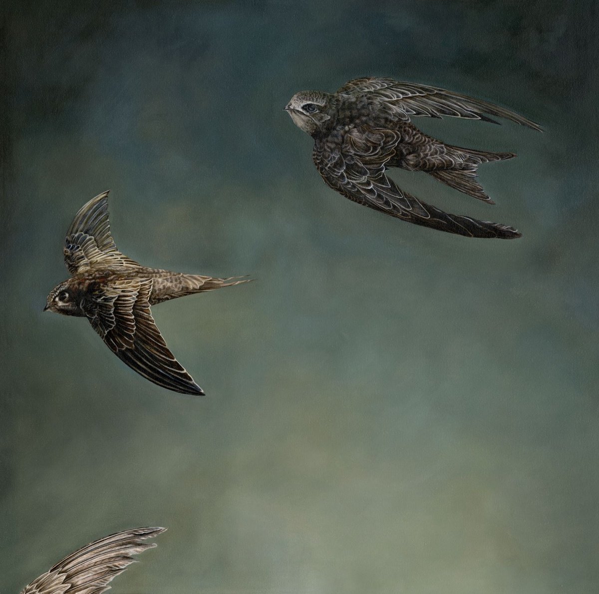 Animal Oil Painting By Natalie Toplass, 32 X 32", Darling Birds Of May, Original Artwork